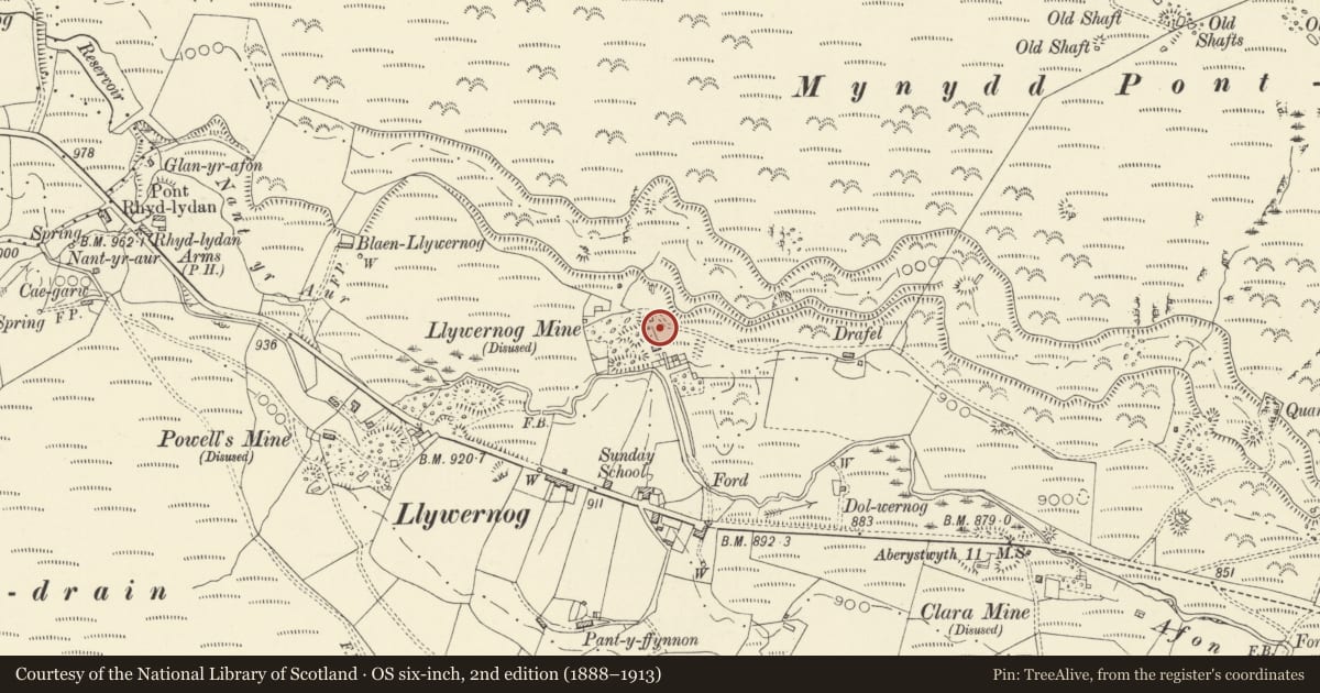 Ordnance Survey six-inch map, 2nd edition (1888–1913) covering the location of Llywernog Lead and Silver Mine, Blaenrheidol, Ceredigion, with a pin at the register's coordinates