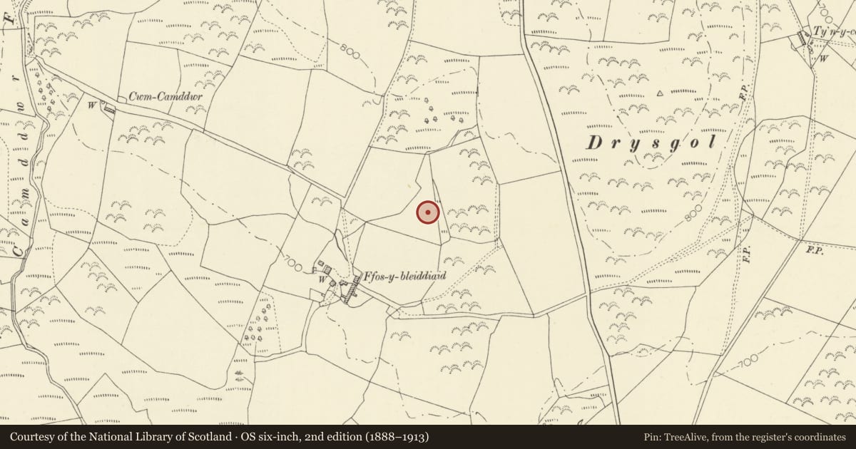 Ordnance Survey six-inch map, 2nd edition (1888–1913) covering the location of Burnt Mound 230m NE of Ffos, Ystrad Meurig, Ceredigion, with a pin at the register's coordinates