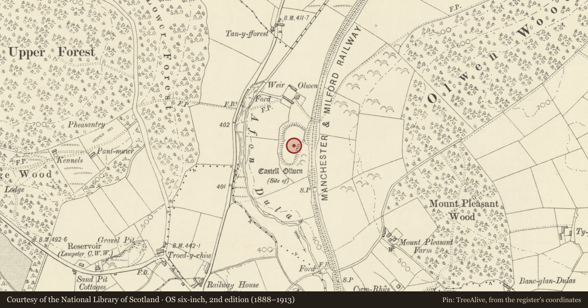 Ordnance Survey six-inch map, 2nd edition (1888–1913) covering the location of Castell Olwen, Lampeter, Ceredigion, with a pin at the register's coordinates