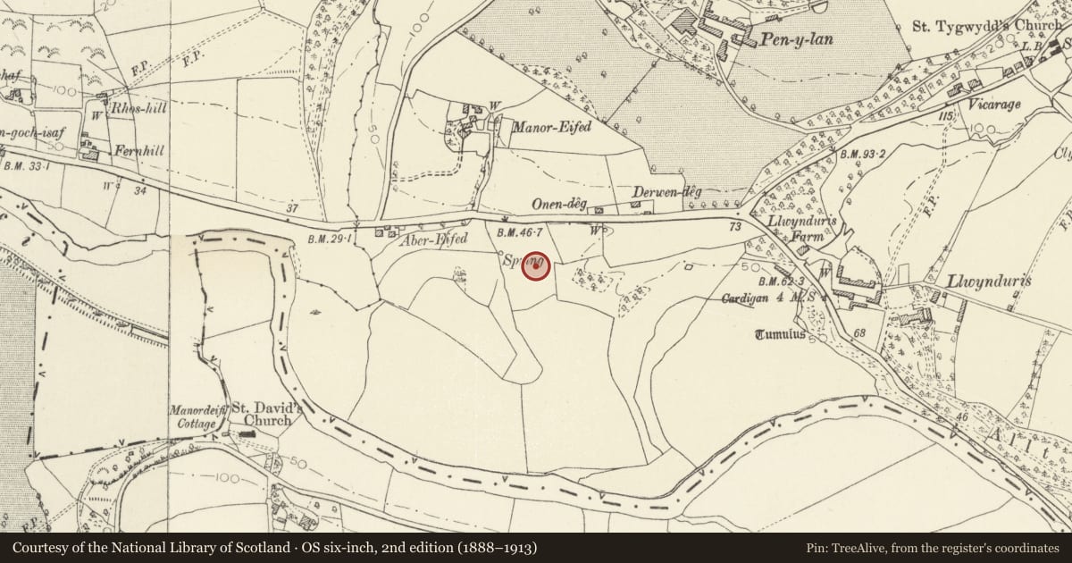 Ordnance Survey six-inch map, 2nd edition (1888–1913) covering the location of Onnen-Deg Defended Settlement, Beulah, Ceredigion, with a pin at the register's coordinates