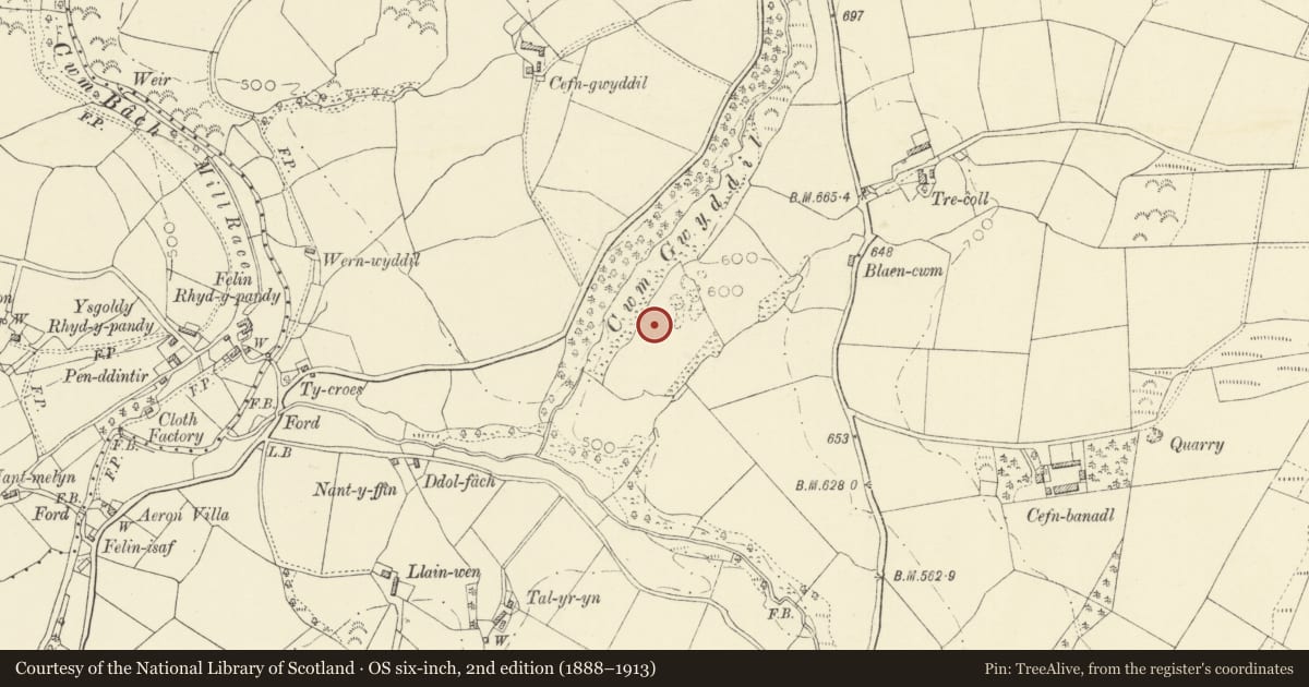 Ordnance Survey six-inch map, 2nd edition (1888–1913) covering the location of Tre-Coll Hillfort, Llangeitho, Ceredigion, with a pin at the register's coordinates