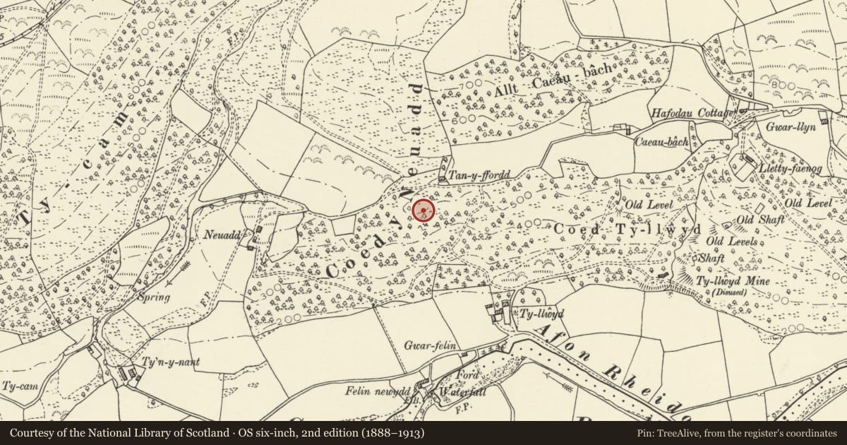 Ordnance Survey six-inch map, 2nd edition (1888–1913) covering the location of Tan-y-Ffordd Hillfort, Melindwr, Ceredigion, with a pin at the register's coordinates