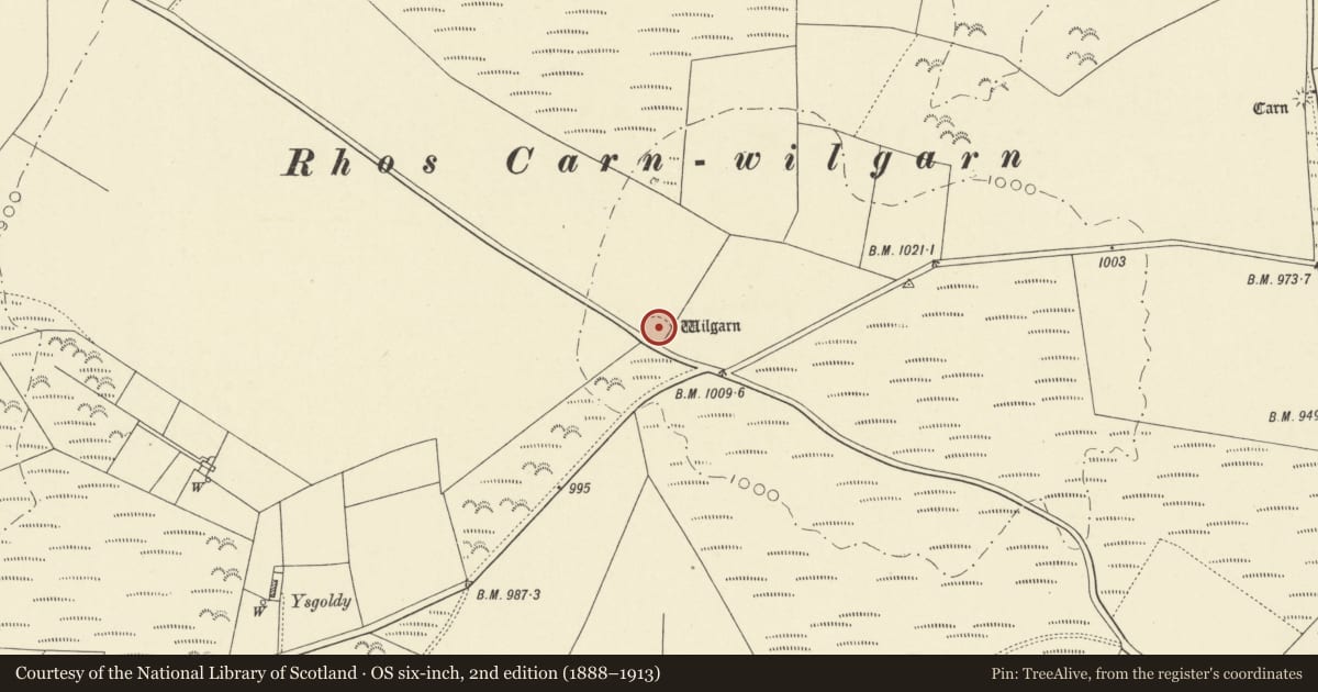 Ordnance Survey six-inch map, 2nd edition (1888–1913) covering the location of Whilgarn Ring Cairn, Llanarth, Ceredigion, with a pin at the register's coordinates