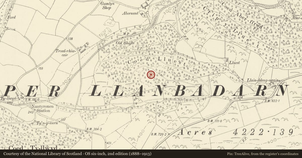 Ordnance Survey six-inch map, 2nd edition (1888–1913) covering the location of Pen-y-Felin Wynt Hillfort, Melindwr, Ceredigion, with a pin at the register's coordinates