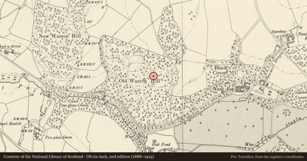 Ordnance Survey six-inch map, 2nd edition (1888–1913) covering the location of Old Warren Hill Hillfort, Llanfarian, Ceredigion, with a pin at the register's coordinates