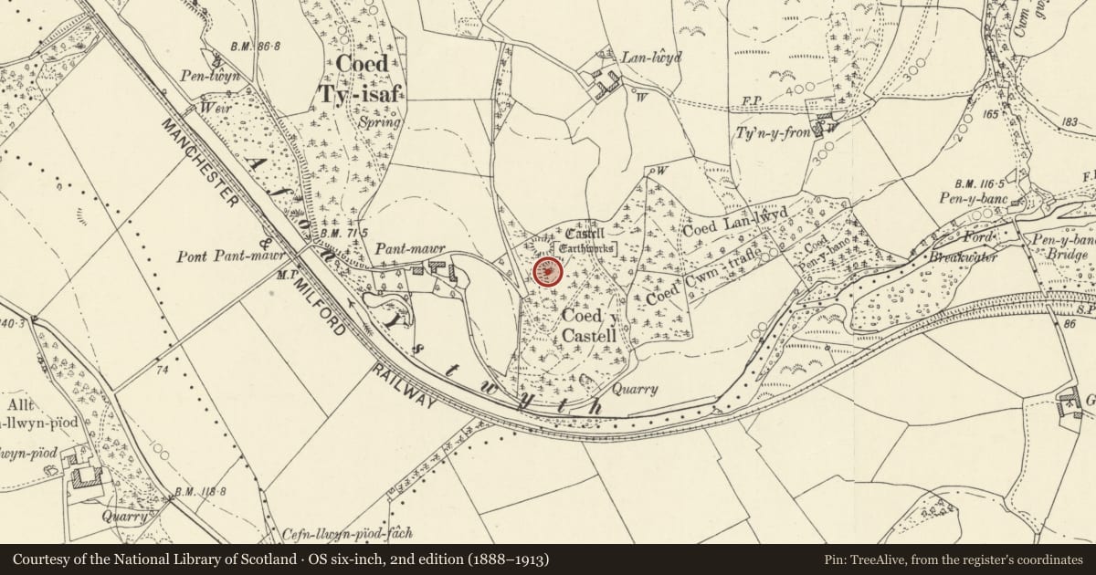 Ordnance Survey six-inch map, 2nd edition (1888–1913) covering the location of Pant Mawr Hillfort, Llanilar, Ceredigion, with a pin at the register's coordinates