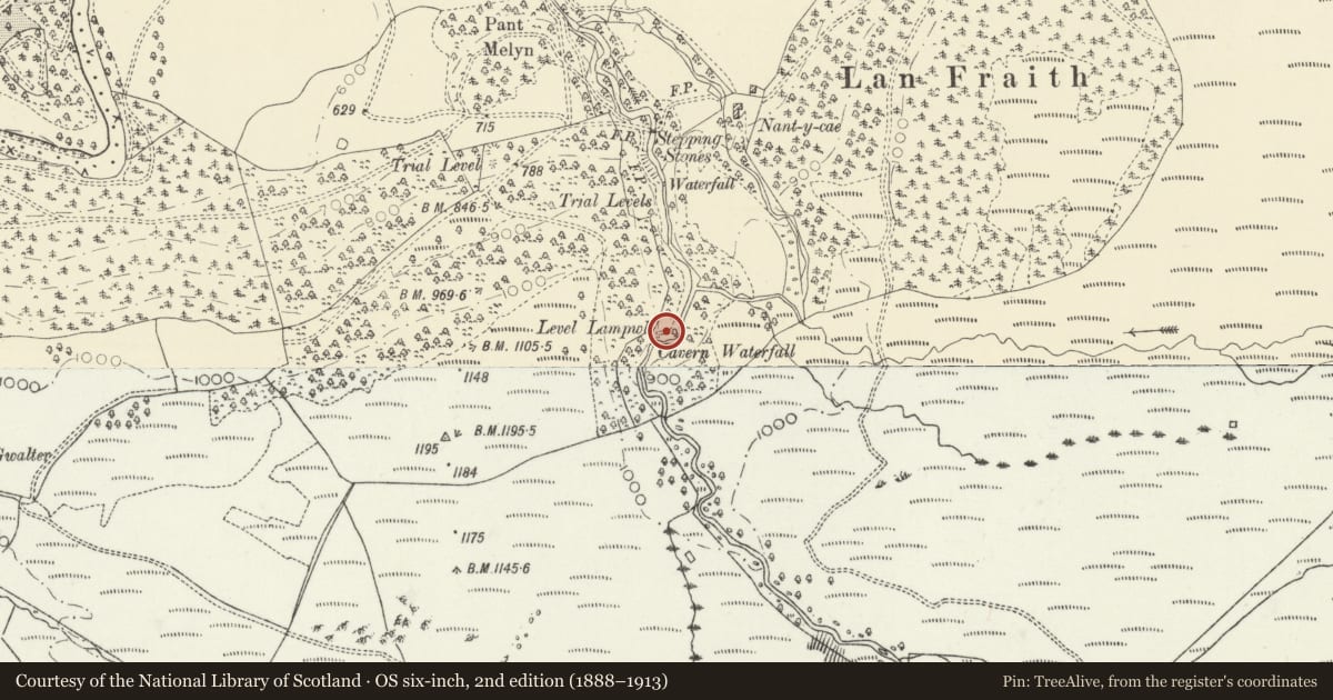 Ordnance Survey six-inch map, 2nd edition (1888–1913) covering the location of Hafod: Cavern Cascade, Ysbyty Ystwyth, Ceredigion, with a pin at the register's coordinates