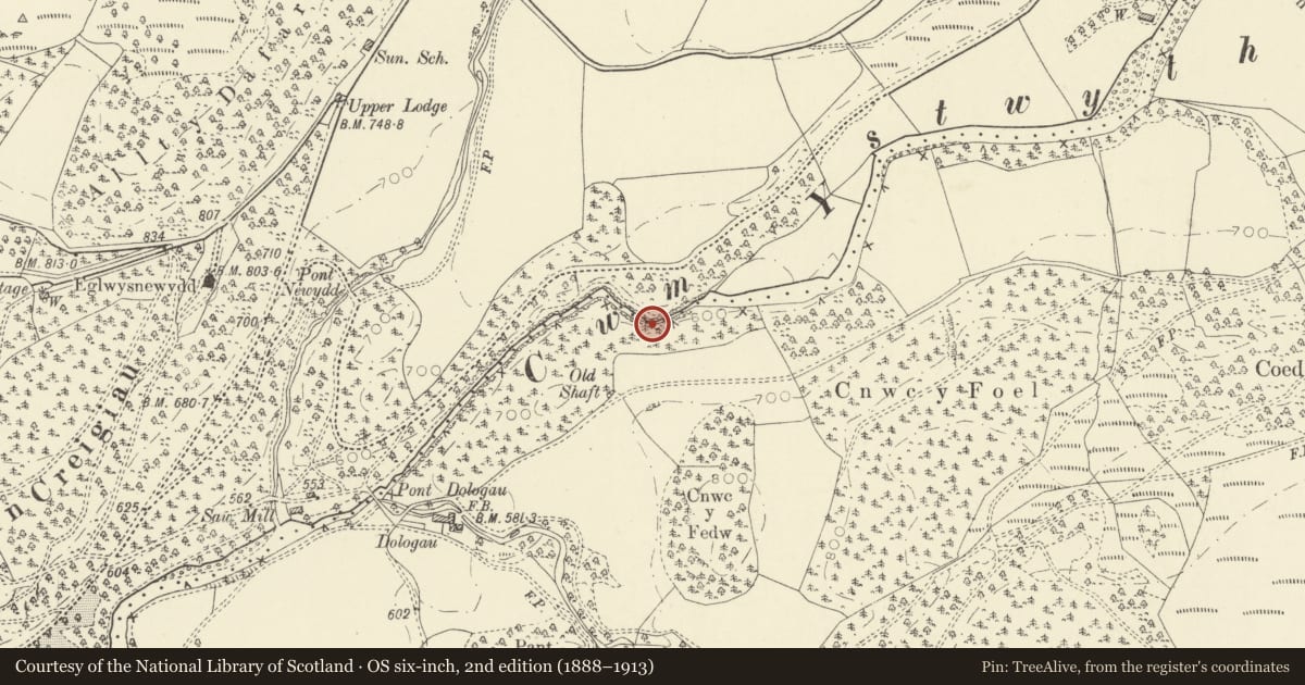Ordnance Survey six-inch map, 2nd edition (1888–1913) covering the location of Hafod: Chain Bridge and Gothick Arcade, Ysbyty Ystwyth, Ceredigion, with a pin at the register's coordinates