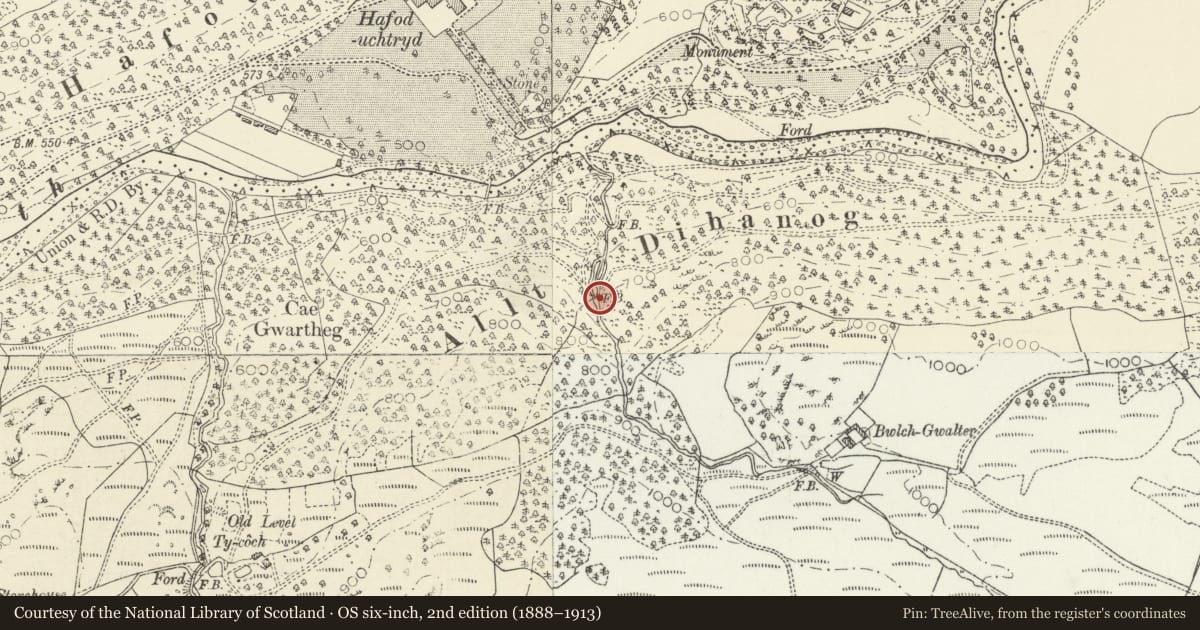 Ordnance Survey six-inch map, 2nd edition (1888–1913) covering the location of Hafod: Nant Bwlch-Gwallter, Ysbyty Ystwyth, Ceredigion, with a pin at the register's coordinates