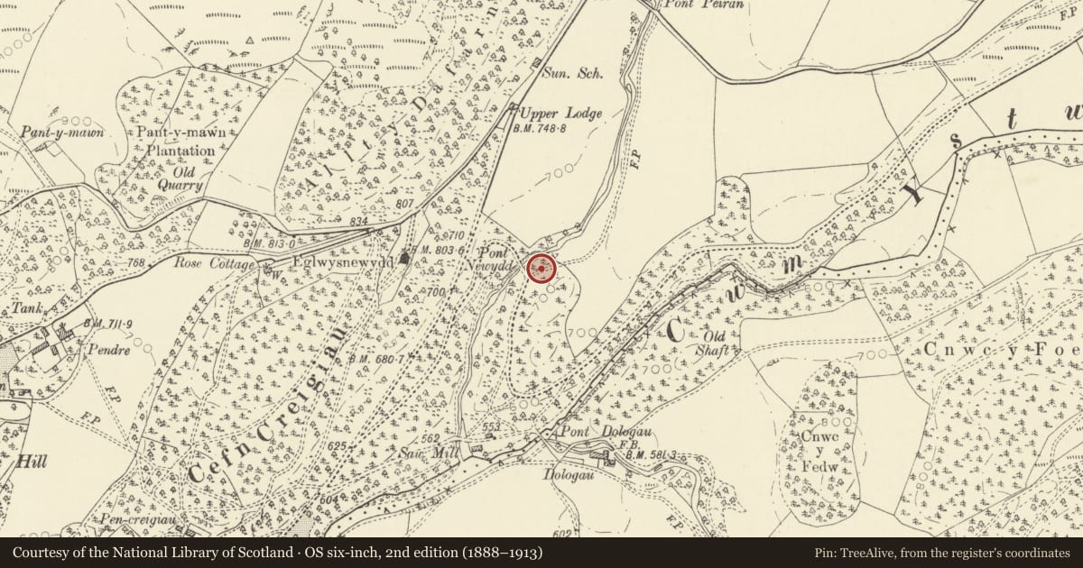 Ordnance Survey six-inch map, 2nd edition (1888–1913) covering the location of Hafod: Peiran Cascade, Ysbyty Ystwyth, Ceredigion, with a pin at the register's coordinates