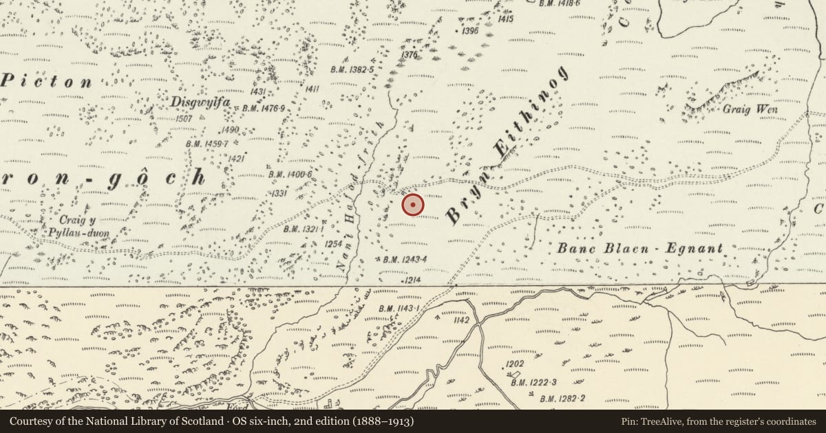 Ordnance Survey six-inch map, 2nd edition (1888–1913) covering the location of Hafod Frith Deserted Rural Settlement, Ystrad Fflur, Ceredigion, with a pin at the register's coordinates
