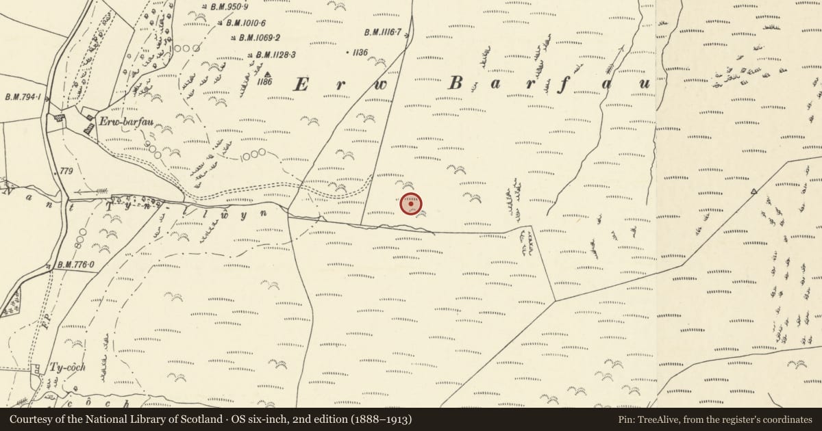 Ordnance Survey six-inch map, 2nd edition (1888–1913) covering the location of Banc Erw Barfe Deserted Rural Settlement, Blaenrheidol, Ceredigion, with a pin at the register's coordinates