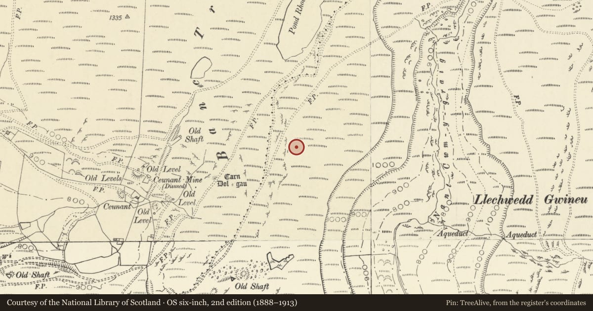 Ordnance Survey six-inch map, 2nd edition (1888–1913) covering the location of Lluest Pencraig Ddu Deserted Rural Settlement, Melindwr, Ceredigion, with a pin at the register's coordinates