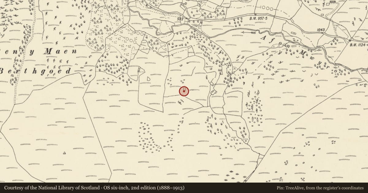 Ordnance Survey six-inch map, 2nd edition (1888–1913) covering the location of Hafod Eidos Rural Settlement, Ystrad Fflur, Ceredigion, with a pin at the register's coordinates