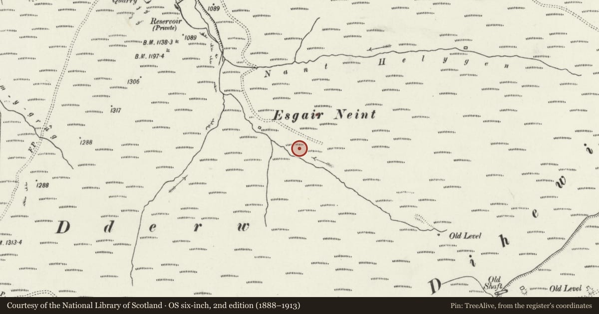 Ordnance Survey six-inch map, 2nd edition (1888–1913) covering the location of Esgair Naint Deserted Rural Settlement, Blaenrheidol, Ceredigion, with a pin at the register's coordinates