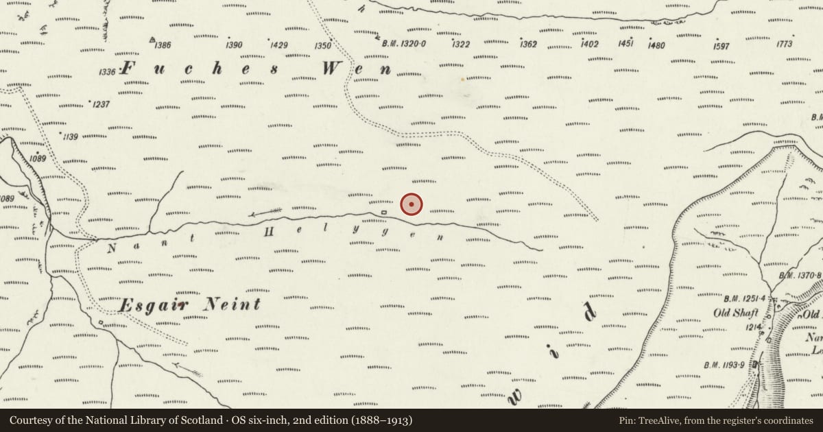 Ordnance Survey six-inch map, 2nd edition (1888–1913) covering the location of Nant yr Helygen Deserted Rural Settlement, Blaenrheidol, Ceredigion, with a pin at the register's coordinates