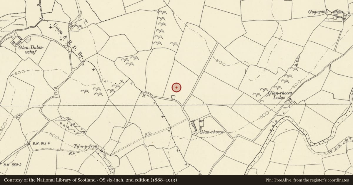 Ordnance Survey six-inch map, 2nd edition (1888–1913) covering the location of Burnt Mound North of Glanrhocca, Llanddewi Brefi, Ceredigion, with a pin at the register's coordinates