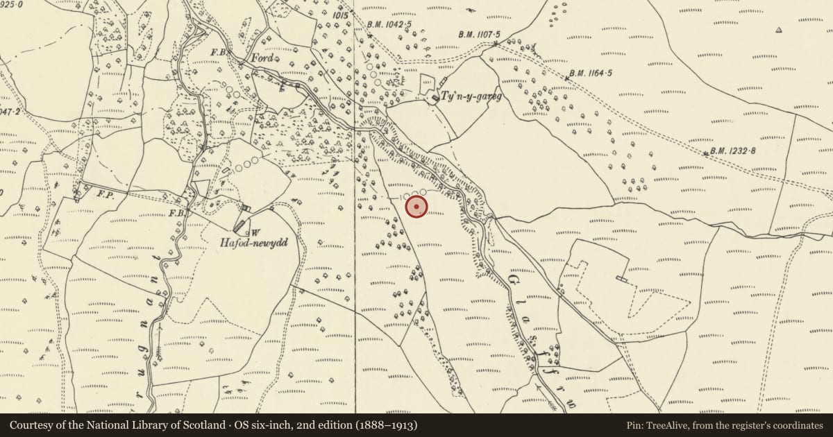 Ordnance Survey six-inch map, 2nd edition (1888–1913) covering the location of Glasffrwd Holy Well, Ystrad Fflur, Ceredigion, with a pin at the register's coordinates