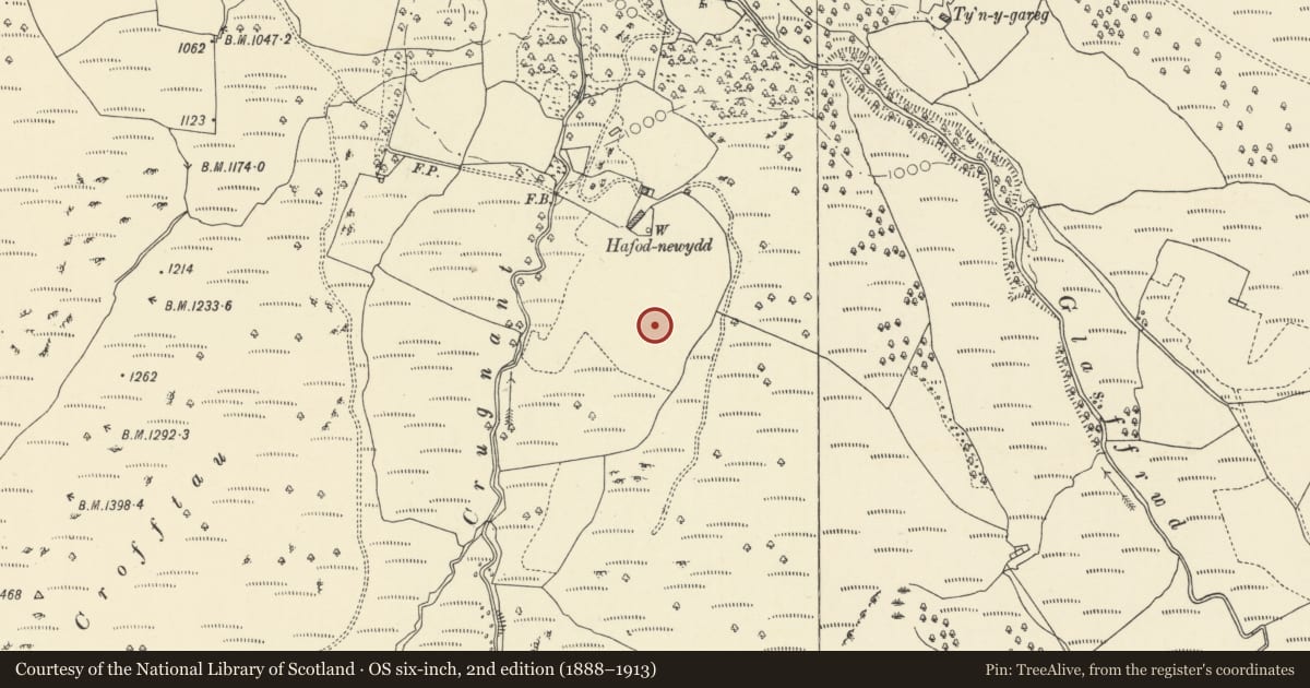Ordnance Survey six-inch map, 2nd edition (1888–1913) covering the location of Tir Hir Medieval Platform, Ystrad Fflur, Ceredigion, with a pin at the register's coordinates