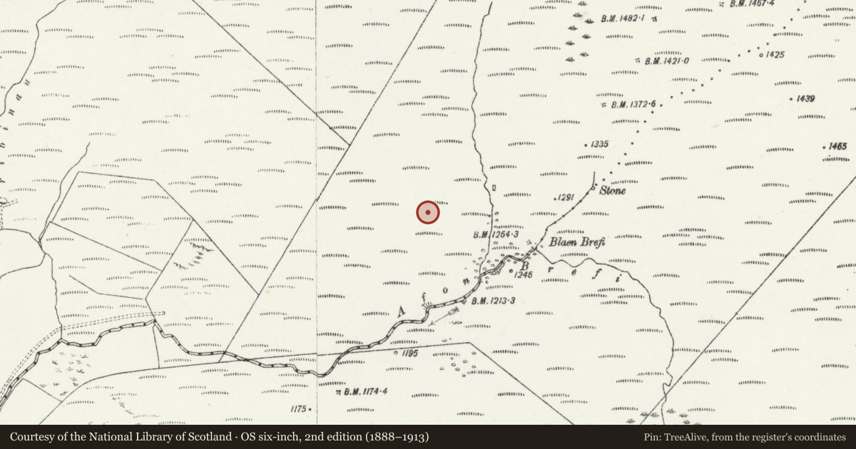 Ordnance Survey six-inch map, 2nd edition (1888–1913) covering the location of Blaen Brefi Longhouses, Llanddewi Brefi, Ceredigion, with a pin at the register's coordinates