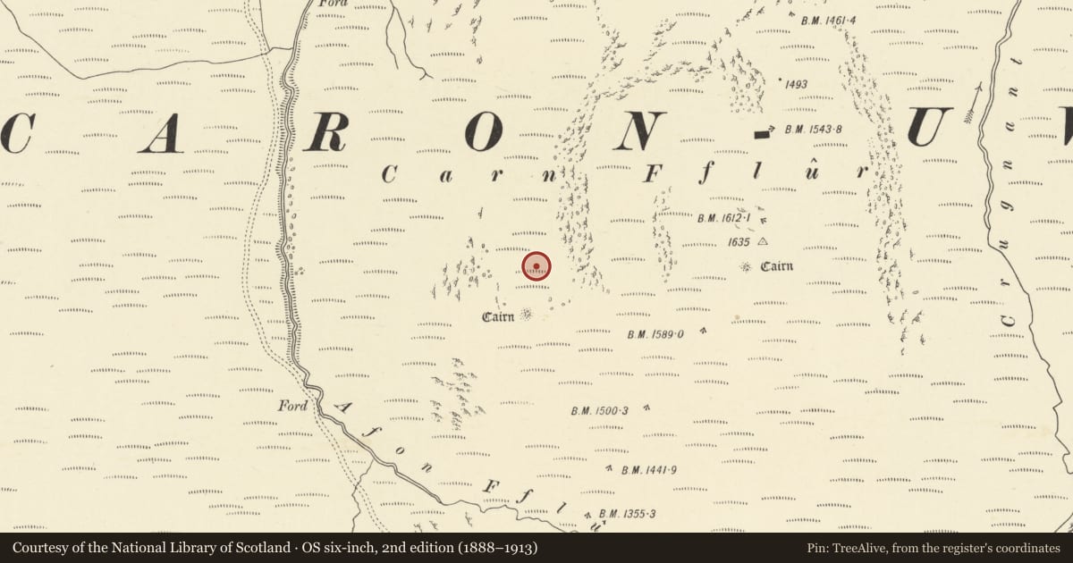 Ordnance Survey six-inch map, 2nd edition (1888–1913) covering the location of Carn Fflur Round Cairn Cemetery, Ystrad Fflur, Ceredigion, with a pin at the register's coordinates