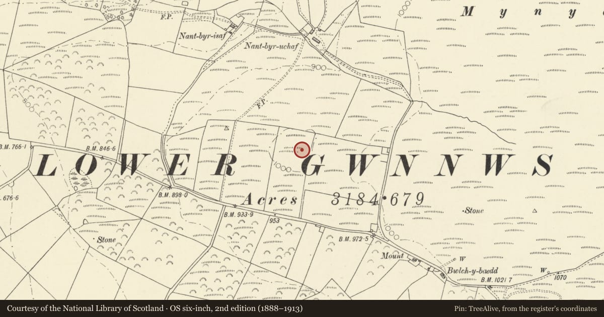 Ordnance Survey six-inch map, 2nd edition (1888–1913) covering the location of Nant Bryn Isaf Ring Cairn, Ystrad Meurig, Ceredigion, with a pin at the register's coordinates