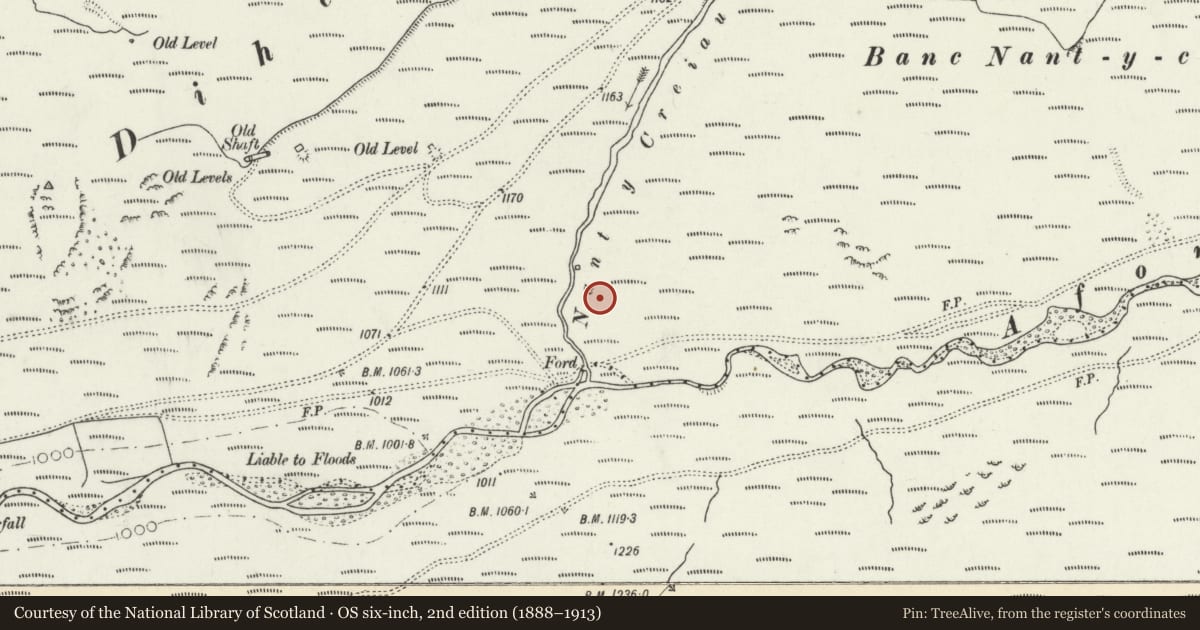 Ordnance Survey six-inch map, 2nd edition (1888–1913) covering the location of Lluest Nantycreuau Deserted Rural Settlement, Blaenrheidol, Ceredigion, with a pin at the register's coordinates