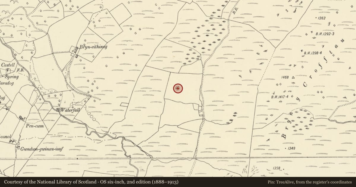Ordnance Survey six-inch map, 2nd edition (1888–1913) covering the location of Bryn-y-Crofftau Ring Cairn, Ystrad Fflur, Ceredigion, with a pin at the register's coordinates