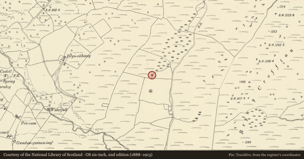 Ordnance Survey six-inch map, 2nd edition (1888–1913) covering the location of Bryn Eithinog Standing Stone, Ystrad Fflur, Ceredigion, with a pin at the register's coordinates