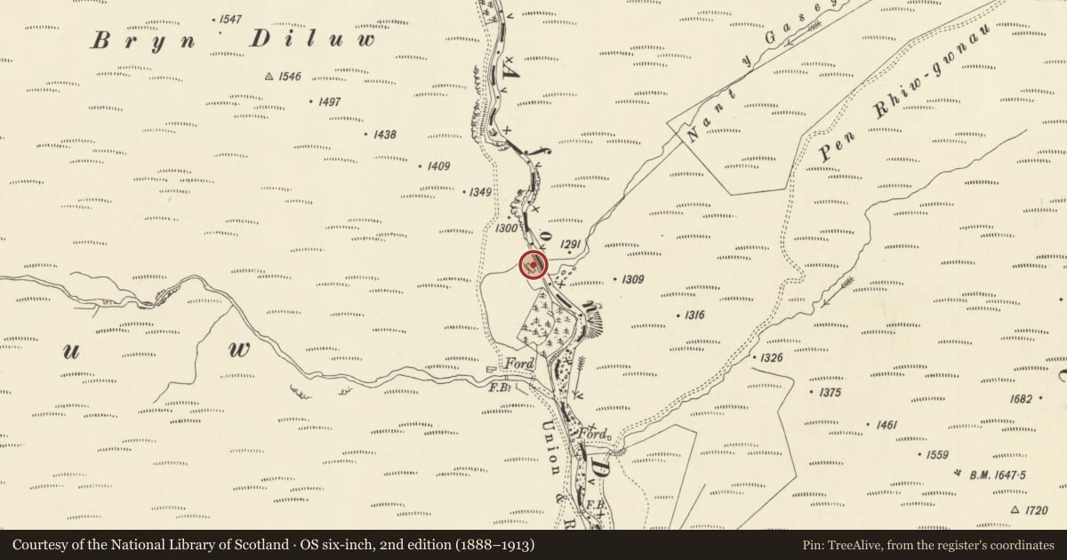 Ordnance Survey six-inch map, 2nd edition (1888–1913) covering the location of Bryn Diliw Long Hut, Pontarfynach, Powys, with a pin at the register's coordinates