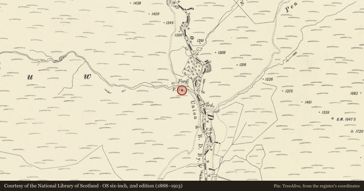 Ordnance Survey six-inch map, 2nd edition (1888–1913) covering the location of Nant Diliw Fechan Deserted Rural Settlement, Pontarfynach, Ceredigion, with a pin at the register's coordinates