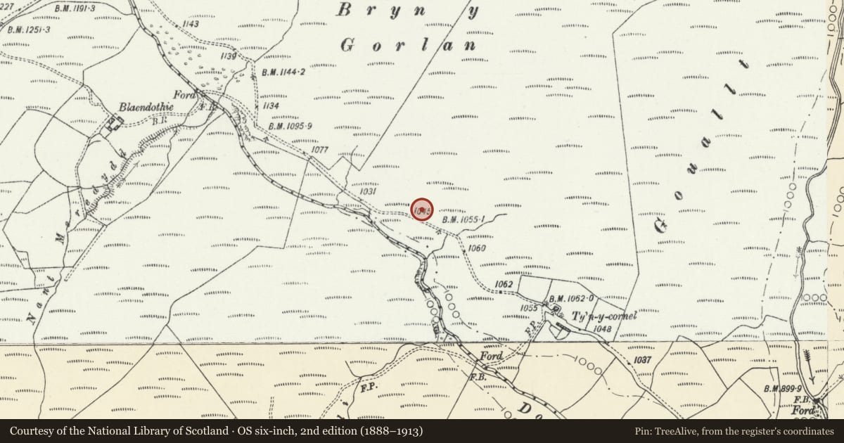 Ordnance Survey six-inch map, 2nd edition (1888–1913) covering the location of Llethr Bryn y Gorlan Platform, Llanddewi Brefi, Ceredigion, with a pin at the register's coordinates