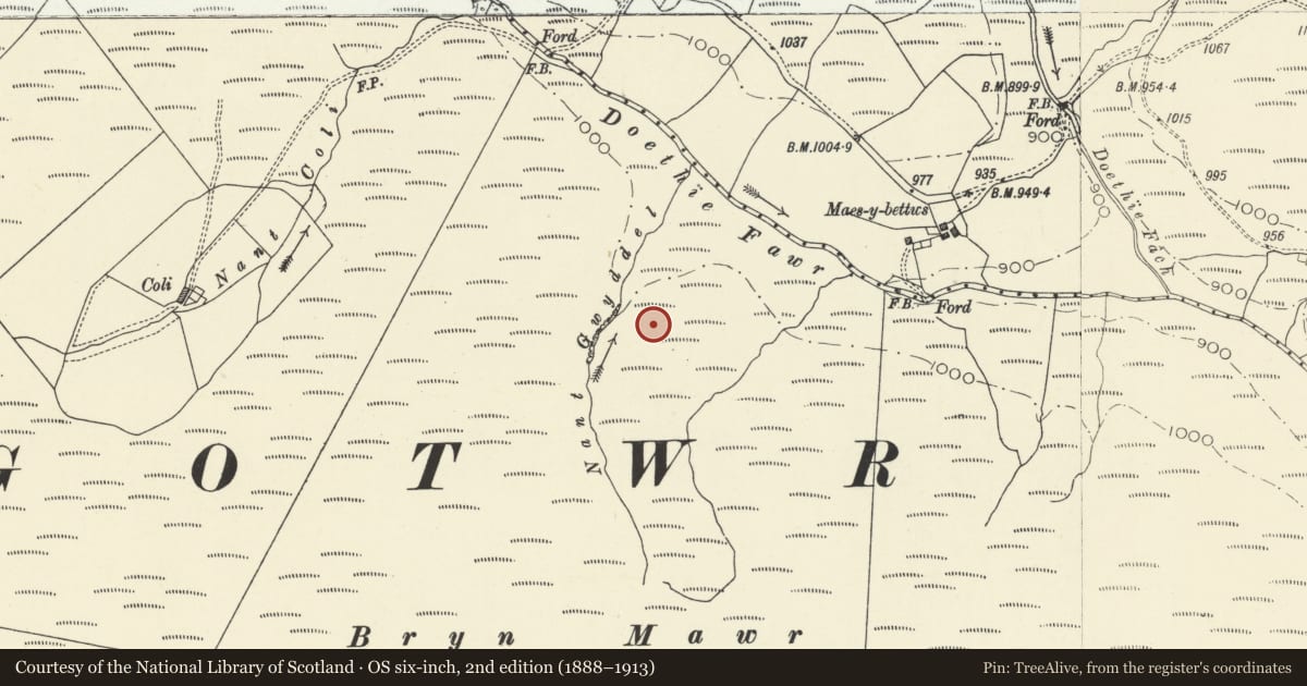 Ordnance Survey six-inch map, 2nd edition (1888–1913) covering the location of Nant Gwyddel Deserted Rural Settlement, Llanddewi Brefi, Ceredigion, with a pin at the register's coordinates