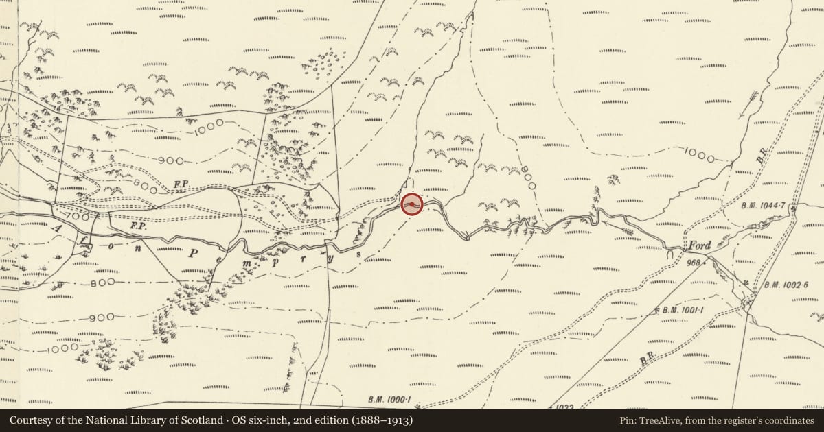 Ordnance Survey six-inch map, 2nd edition (1888–1913) covering the location of Pemprys Rural Settlement, Ysgubor-y-Coed, Ceredigion, with a pin at the register's coordinates
