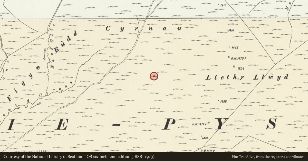 Ordnance Survey six-inch map, 2nd edition (1888–1913) covering the location of Cyrnau Long Hut, Llanddewi Brefi, Ceredigion, with a pin at the register's coordinates