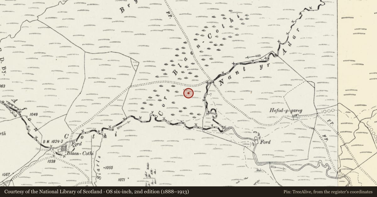 Ordnance Survey six-inch map, 2nd edition (1888–1913) covering the location of Cors Blaen Cothi Deserted Rural Settlement, Llanddewi Brefi, Ceredigion, with a pin at the register's coordinates