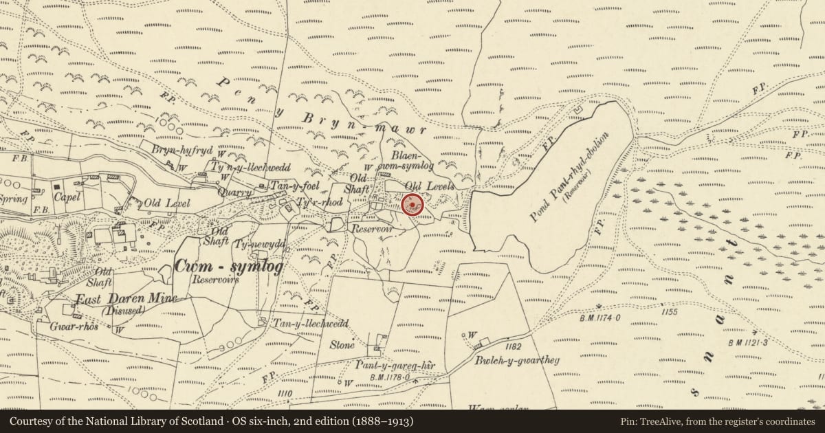 Ordnance Survey six-inch map, 2nd edition (1888–1913) covering the location of Blaen Cwmsymlog Lead and Silver Mine, Trefeurig, Ceredigion, with a pin at the register's coordinates