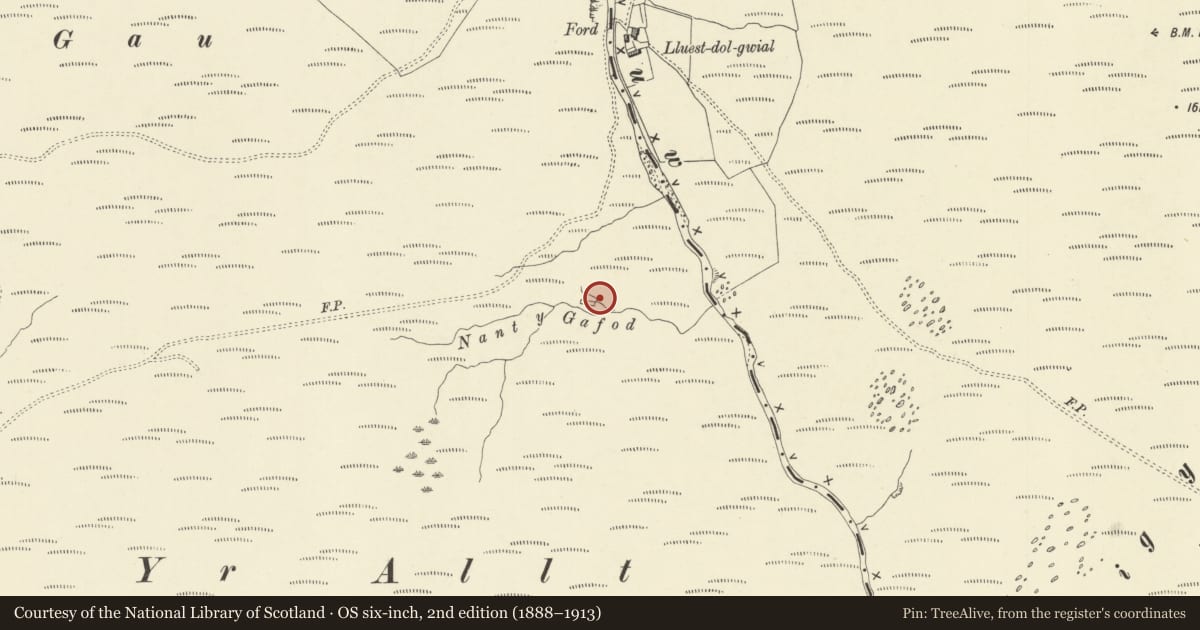 Ordnance Survey six-inch map, 2nd edition (1888–1913) covering the location of Nant y Gafod Deserted Rural Settlement, Pontarfynach, Ceredigion, with a pin at the register's coordinates