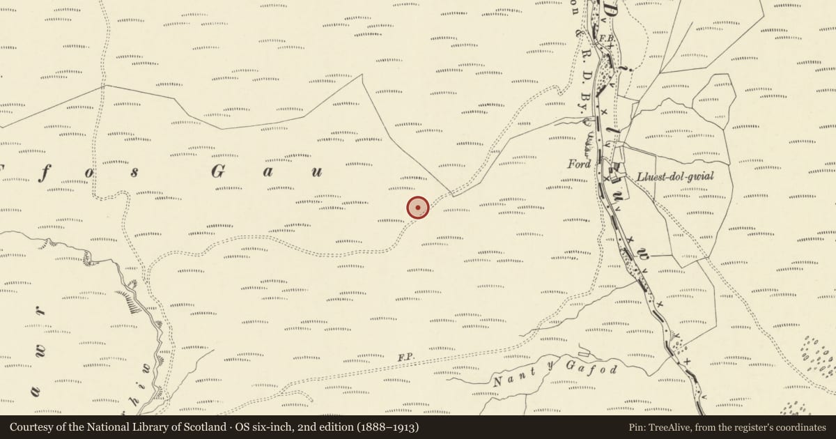 Ordnance Survey six-inch map, 2nd edition (1888–1913) covering the location of Ffos Gau Ring Cairn, Pontarfynach, Ceredigion, with a pin at the register's coordinates