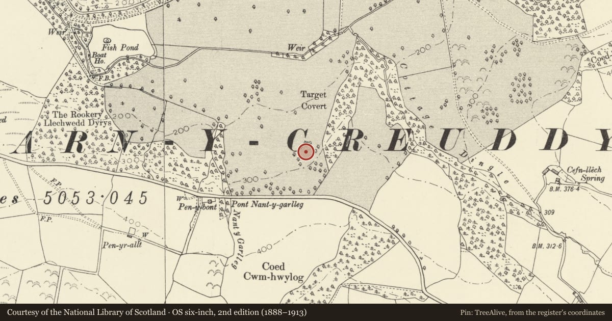 Ordnance Survey six-inch map, 2nd edition (1888–1913) covering the location of Nanteos kennels/eyecatcher, Llanfarian, Ceredigion, with a pin at the register's coordinates