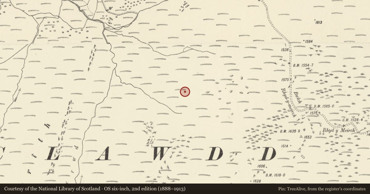 Ordnance Survey six-inch map, 2nd edition (1888–1913) covering the location of Blaen Glasffrwd longhouse, Ystrad Fflur, Ceredigion, with a pin at the register's coordinates