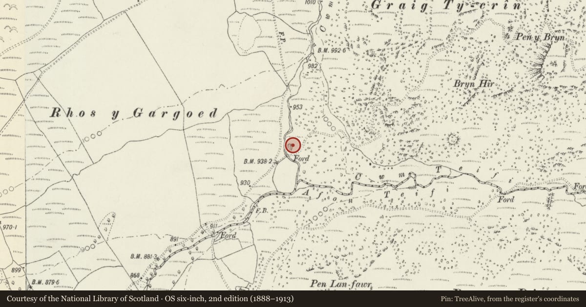 Ordnance Survey six-inch map, 2nd edition (1888–1913) covering the location of Cwm Rhydol settlement, Ystrad Fflur, Ceredigion, with a pin at the register's coordinates