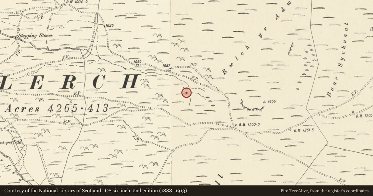 Ordnance Survey six-inch map, 2nd edition (1888–1913) covering the location of Nant Bwlch-glas lluest farmstead, Ceulanamaesmawr, Ceredigion, with a pin at the register's coordinates
