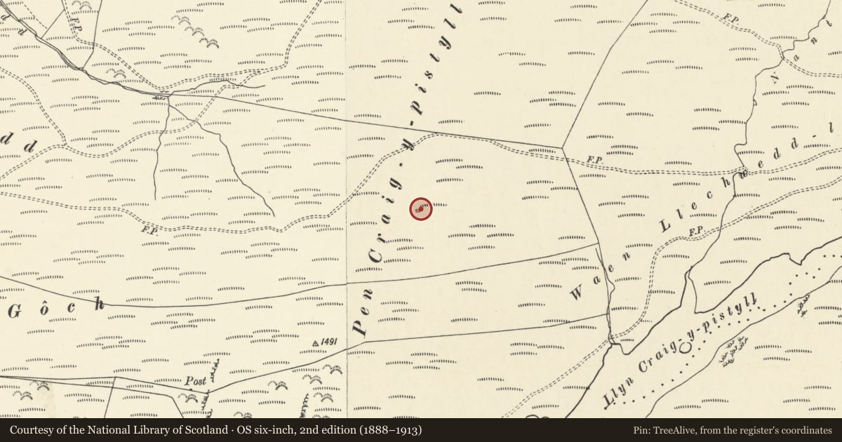 Ordnance Survey six-inch map, 2nd edition (1888–1913) covering the location of Waun Llechwedd Llyfn long hut, Ceulanamaesmawr, Ceredigion, with a pin at the register's coordinates