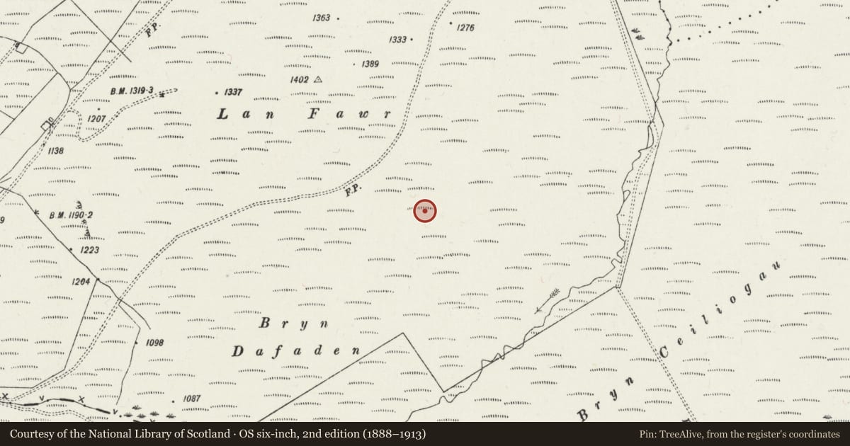 Ordnance Survey six-inch map, 2nd edition (1888–1913) covering the location of Round Cairns c. 400m SE of Lan Fawr, Llanddewi Brefi, Ceredigion, with a pin at the register's coordinates