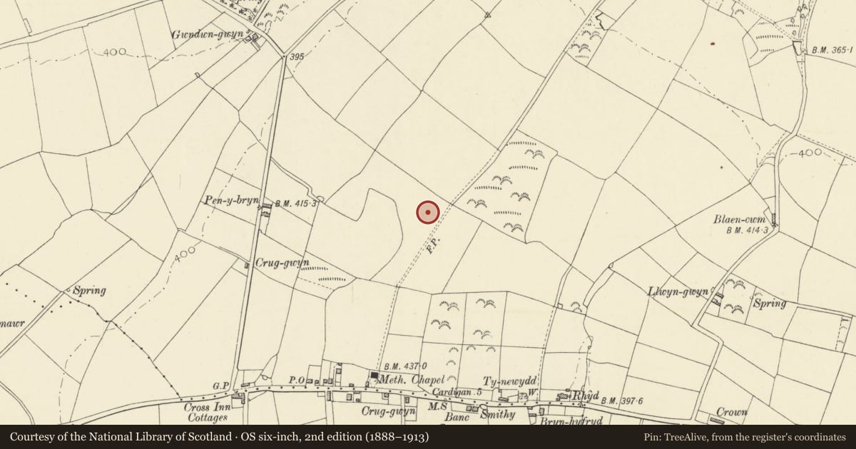 Ordnance Survey six-inch map, 2nd edition (1888–1913) covering the location of Airfield Perimeter Defences at Blaenannerch, Aberporth, Ceredigion, with a pin at the register's coordinates