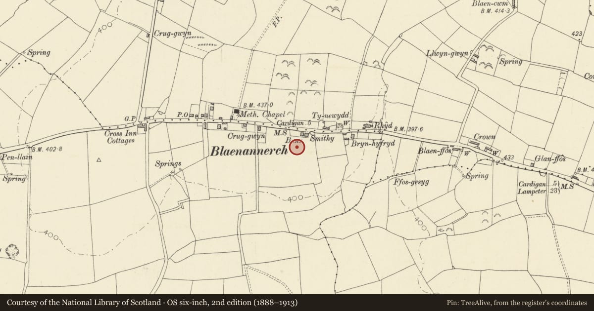 Ordnance Survey six-inch map, 2nd edition (1888–1913) covering the location of Blaenannerch Round Barrow, Aberporth, Ceredigion, with a pin at the register's coordinates