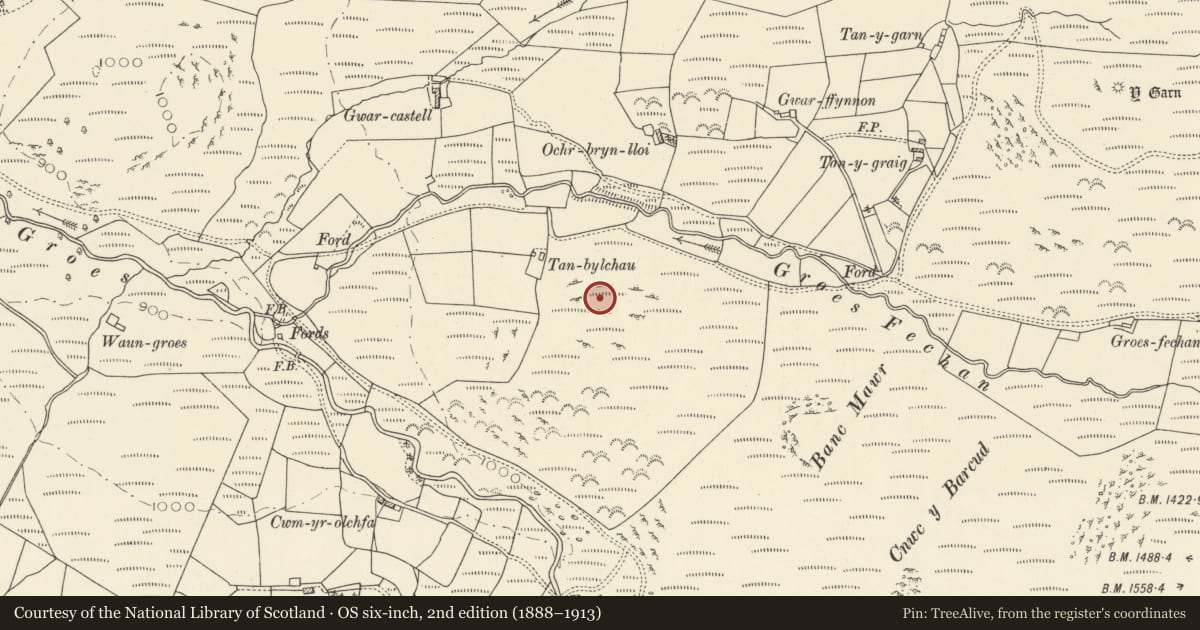 Ordnance Survey six-inch map, 2nd edition (1888–1913) covering the location of Round Cairn, Tregaron, Ceredigion, with a pin at the register's coordinates