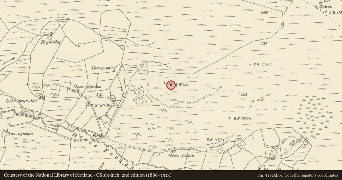 Ordnance Survey six-inch map, 2nd edition (1888–1913) covering the location of Y Garn Round Cairn, Tregaron, Ceredigion, with a pin at the register's coordinates