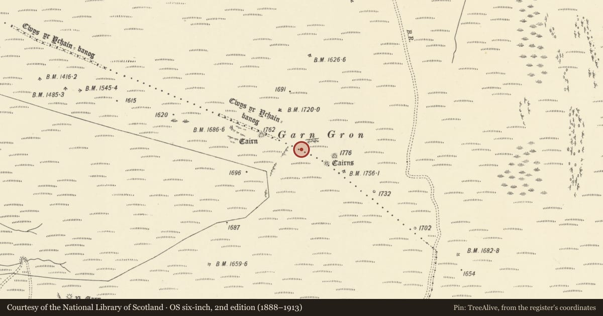 Ordnance Survey six-inch map, 2nd edition (1888–1913) covering the location of Garn Gron Round Cairn Cemetery, Ystrad Fflur, Ceredigion, with a pin at the register's coordinates